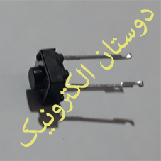 میکروسوئیچ 2 پین