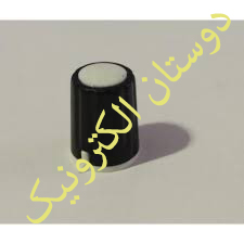 سرولوم بزرگ