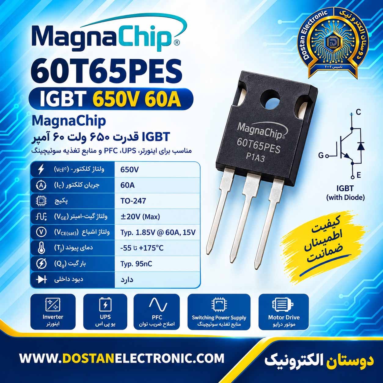 60T65PES Magna Chip